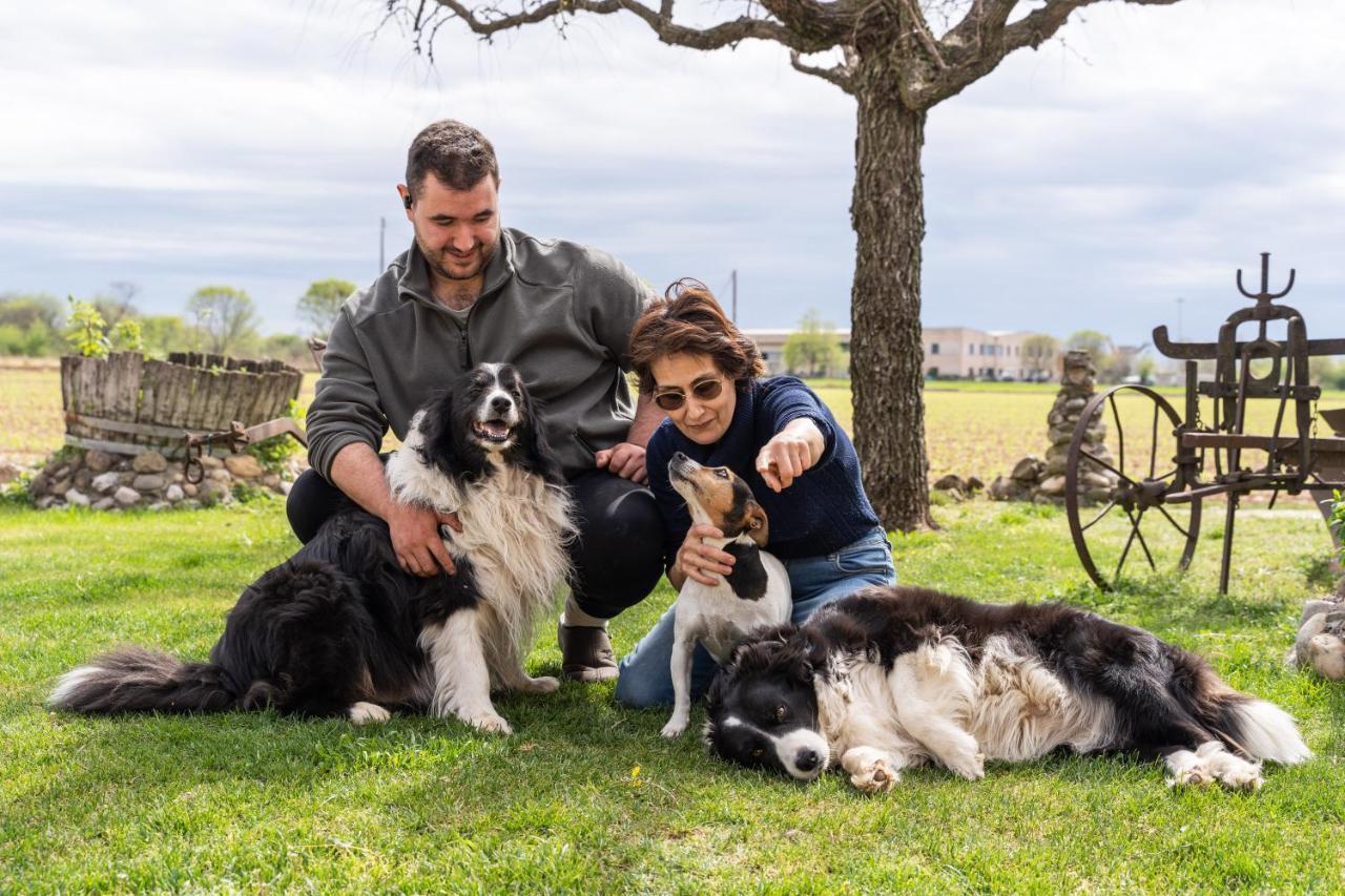 Agriturismo Pozzo Fiorito Castiglione Delle Stiviere Exteriör bild